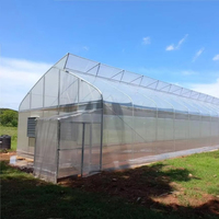 Serre agricole à simple travée avec couverture en film PE, système de ventilation naturelle, petite taille, une seule serre agricole