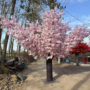 नए उत्पाद बड़े फूल के पेड़ 3.9 मीटर उच्च और 6 मीटर चौड़ा फुलजापान कृत्रिम चेरी पेड़ के लिए फूल पेड़ - Product Image 1