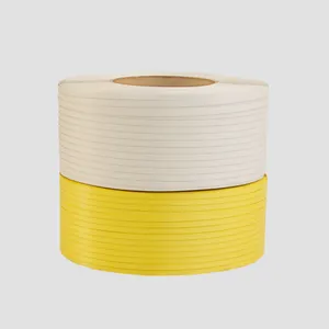 Packaging Strip Box Packing Strap for Strapping Machine Packing Strapping Band