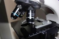 Hot Sell Optical and Mechanical Precision Instruments Biological Microscope