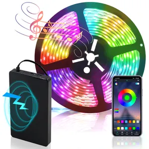 휴일 빛 키트 LED RGB 스트립 빛 APP 음악 동기화 음성 원격 제어 유연한 방수 구리 80 IP65 빛 문자열