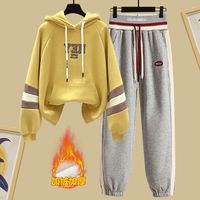Ensemble deux pièces chaud et imperméable en peluche unie avec capuche pour femme, comprenant un pull brodé et un pantalon sarouel décontracté, idéal pour l'hiver.