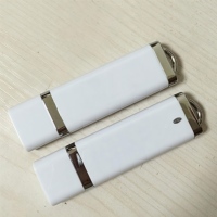 Clé USB personnalisée à prix d'usine, capacité 1 Go, USB 2.0, en plastique léger, pour usage promotionnel et professionnel