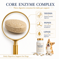 Comprimés d'enzymes pancréatiques pour chiens : Complexe Trypsine, Pepsine, Lipase – 100 unités – Soutien digestif quotidien naturel – Vente en gros