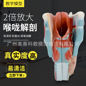 2 - Product Image 1