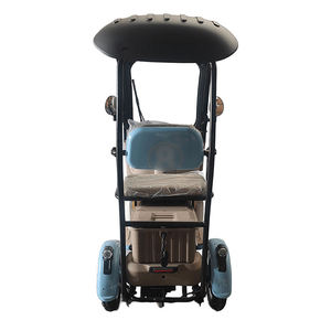 Urban Transportation's Low-Cost Vehicles for Passengers Leisure Carbon Steel Frame 3-Speed Gears Lead-Acid Battery - Product Image 4