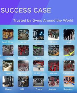 Equipo <span class=keywords><strong>de</strong></span> gimnasio comercial: Máquina <span class=keywords><strong>de</strong></span> fuerza con carga <span class=keywords><strong>de</strong></span> pin MTS Hammers <span class=keywords><strong>para</strong></span> <span class=keywords><strong>curl</strong></span> <span class=keywords><strong>de</strong></span> <span class=keywords><strong>bíceps</strong></span>, doble pila <span class=keywords><strong>de</strong></span> pesas, CE, directo <span class=keywords><strong>de</strong></span> fábrica, <span class=keywords><strong>para</strong></span> culturismo - Product Image 3