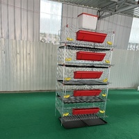 Cages à cailles à 5 niveaux de type surélevé en promotion