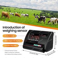 Báscula Industrial de Acero al Carbono para Piso, Digital, para Ganado, 1000 kg, 3000 kg, 5000 kg