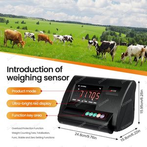 Thép Carbon Quy Mô Sàn Công Nghiệp 1000 Kg 3000 Kg 5000 Kg Kỹ Thuật Số Chăn Nuôi Quy Mô - Product Image 4