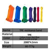Ensemble de bandes de résistance écologiques hautement élastiques, bandes de traction durables, kit d'entraînement portable pour la salle de sport et la remise en forme à domicile