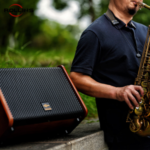 Radio pour <span class=keywords><strong>saxo</strong></span> 200w super power pour les activités intérieures et extérieures - Product Image 5