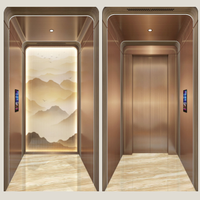 Lift Rumah Modern yang Dapat Disesuaikan untuk Vila, Sistem Penggerak Traksi Baja Tahan Karat. Tersedia Berbagai Warna Kapasitas 400kg untuk 2-3 orang