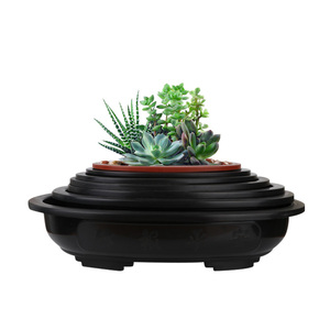 Cheap Factory Price oval black tree pot 12 inch bonsai pots plastic