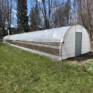 Serra Completa per Agricoltura, Tenda <span class=keywords><strong>di</strong></span> Coltivazione a Forma <span class=keywords><strong>di</strong></span> Arco, Tunnel Verde per Coltivazione <span class=keywords><strong>di</strong></span> Ortaggi/Vivaio - Product Image 5