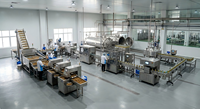 Energiebesparende turnkey productielijn voor longan blikjes, inclusief was-, zeef- en verpakkingsmachines voor de fruit- en voedingsmiddelenindustrie.