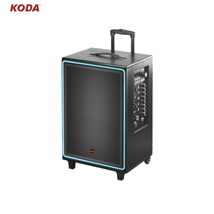 Koda 10 Inch Bằng Gỗ Hoạt Động Đảng Dj Karaoke Loa Hệ Thống Âm Thanh Gỗ Powered Loa - Product Image 5