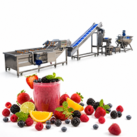 Complete natuurlijke sap productielijn, fruit sap productielijn, sapcentrifuge productielijn, verwerkingsmachine