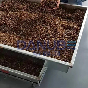 Industrial Mealworm Silkworm Cocoon Dryer Maggot Dryer Machine Insects Drying Machine Trade - Product Image 3