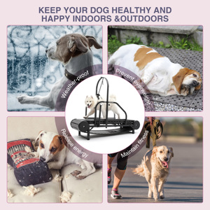 Caminadora Portátil para Perros, Compacta y Eficiente para Uso Doméstico - Product Image 2