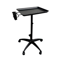 Plateau de coiffure professionnel en alliage d'aluminium, réglable en hauteur et mobile, pour salon de beauté et de coiffure, support de rangement