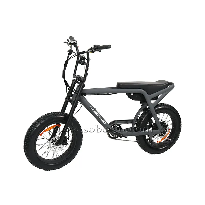 OEM مصنع الدهون دراجة كهربائية المورد الذهبي 20 بوصة سوبر سبائك الألومنيوم الإطار الصينية دراجة كهربائية مع اثنين من المقاعد E-الدراجة