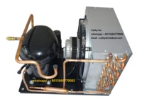 Unidad Condensadora de Compresor de Refrigeración Hermético 110V 1/3HP 1/2HP R290 Ecológico, Repuestos para Refrigerador -20C 18C