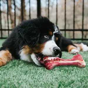 Giocattoli per cani in gomma Juguetes Para Mascotas Dog Chew Bone Toy durevole giocattolo da masticare per cani