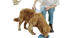 Tappetini per leccare il cane da compagnia impermeabili ecologici in Silicone blu Pawprint con burro di arachidi e ciotole e mangiatoie in stile amore - Product Image 5