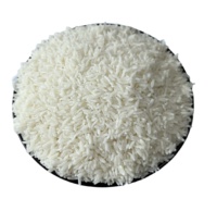 Pâtes au konjac blanc sans glucides Agent de riz au konjac Vente au détail en gros Riz Konajc Konjac Arroz Pâtes au riz à consommation instantanée