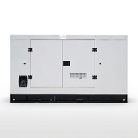 Certifié CE 80Kw 100Kva générateur diesel insonorisé triphasé générateurs de type silencieux avec démarrage automatique tension 400V/110V