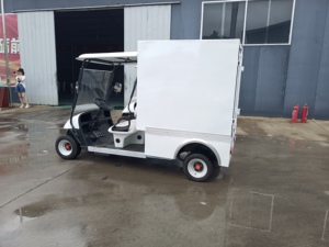 <span class=keywords><strong>Ht</strong></span> 2024 Hot Bán xe máy Pickup điện 3-bánh Xe ba bánh cho người lớn xe tải Giường hộp hàng hóa - Product Image 6