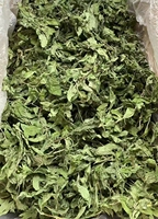 Nouvelle récolte thé aux herbes chinoises 100% feuilles de menthe naturelle feuilles de menthe poivrée séchées en vrac 15KG/Carton