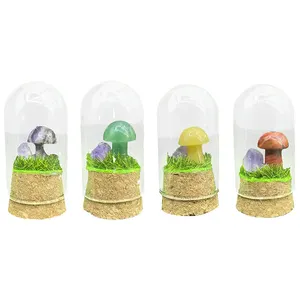 Natural Amethyst Carved Specimen Set Glass Cover Microlandscape Crystal Mushroom Carving