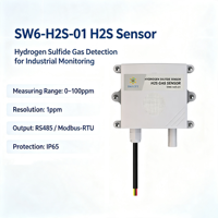 Détecteur de gaz au sulfure d'hydrogène (H2S) haute précision SW6H2S01 RS485 Modbus RTU, IP65, pour usine chimique et pipeline d'égouts