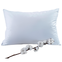 Housse de coussin 100% coton, taie d'oreiller en sergé haute densité, double protection antibactérienne et anti-acariens, style enveloppe, taie d'oreiller d'hôtel