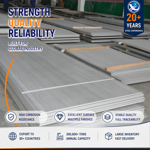 Lámina de Acero Inoxidable Laminada en Caliente 304L 316L con Acabado 2D de 0.5 mm x 1219 mm (4'x8') para Fabricación de Elevadores - Product Image 1