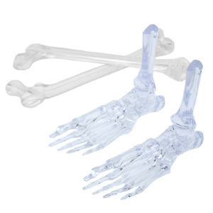 Impression 3D OEM Service Résine Blanche Résine Transparente Modèle d'Information Médicale Modèle de Pieds de Crâne avec Aller au Point de Support - Product Image 2