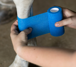 Vendaje autoadhesivo no tejido Pro Wrap Soccer Sports Sock Wrap Tape 5cm * 4,5 m - Product Image 4