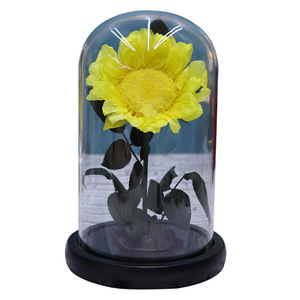 Dôme en verre de tournesol éternel à LED, fleurs préservées en gros, décoration intérieure, cadeau de vacances, approvisionnement en vrac pour la Fête des Mères - Product Image 5