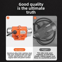 Kleiner Einphasen-Asynchron-Vibrationsmotor T0-0.1 220V/380V 100W für Lagerwandvibratoren und Galvanik