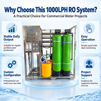 Usine de production d'eau potable 1 TPH avec filtres à double média et réservoir de dosage anticalcaire pour projets d'eau