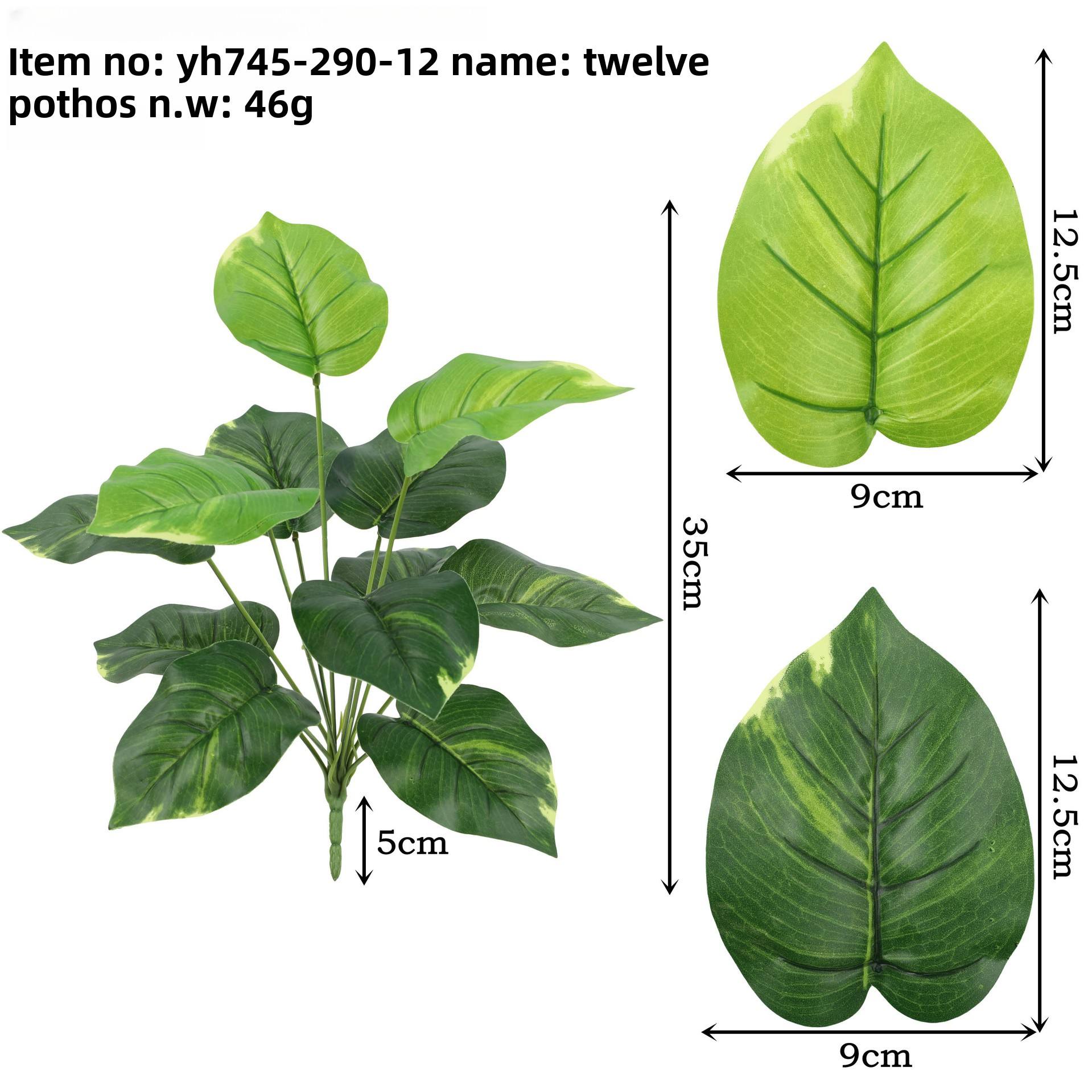 หัวไชเท้าสีเขียว Yh745-290-12สิบสองหัว