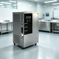 Générateur de vapeur électrique commercial 48KW 67kg/h 0.3MPa, économie d'énergie, chaudière en acier inoxydable 304 pour cuisine de restaurant commercial