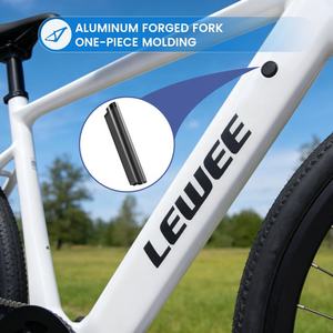 Vélo de route électrique en stock, <span class=keywords><strong>10</strong></span> vitesses, 36V/14Ah, écran LCD couleur, vélo de route pour adulte - Product Image 3