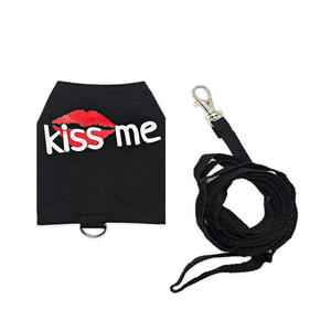 Correa Luminosa para Lagartos, Arnés de Pecho para Reptiles, Correa para Camaleones y Ardillas, <span class=keywords><strong>Ropa</strong></span> para Mascotas Pequeñas - Product Image 2