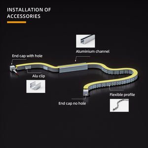 1100LM/M Side Emitting 10*18mm <b>Neon</b> Flex LED 24V IP67 for Facade Outline <b>Lighting</b> - Product Image 5