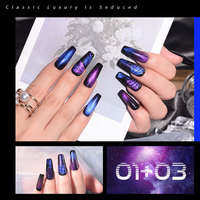 R S Nail – Vernis à ongles gel UV de haute qualité, fournisseurs de gels UV personnalisés, nouveau design 9D, gel œil de chat artisanal pour salon de beauté