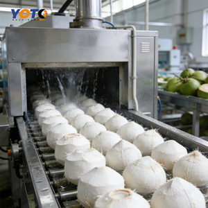 Máquina Peladora de Coco Verde Automática de China, 220V, 300-3000kg/h, Línea de Procesamiento Completa, 5000kg de Peso - Product Image 4