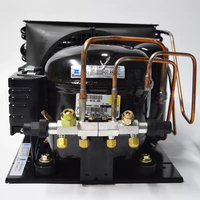 Unité de condensation intérieure HBP 50Hz pour les Émirats arabes unis, 220-240V, 1/3 CV, capacité de refroidissement, compresseur TIBO, réfrigérant R-134a/R-513A, haute performance